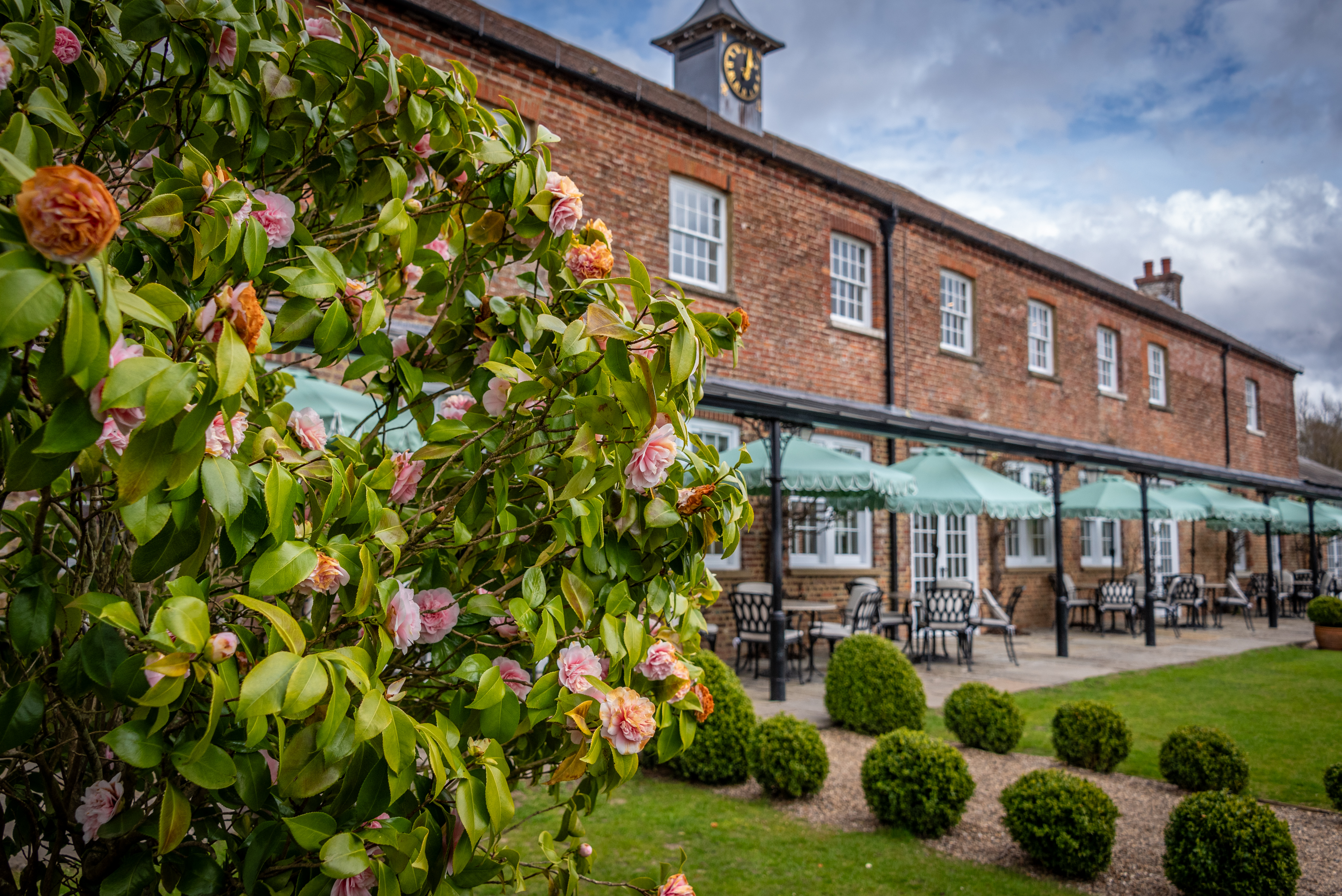 Seasonal blooms at The Secret Garden Wedding Venue in Ashford